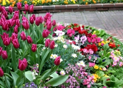 file0001405006_0