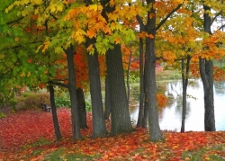 file0001625591306