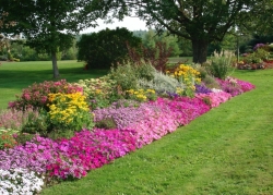 Home Flower Bed