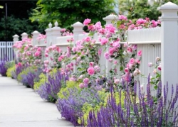 Flower Bed With Fence