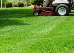 landscape-maintenance-services-2