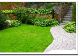 Home Landscaping