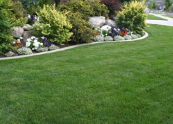 landscaping_0