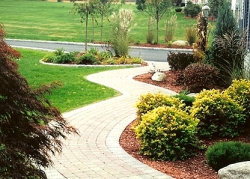 Landscaping