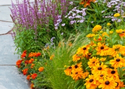 Planting