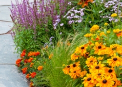 planting-45_0