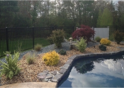 Pool Landscaping
