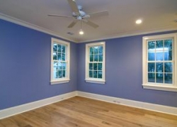 Interior Room Painting