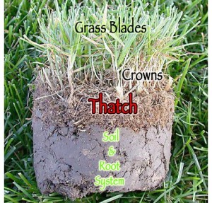 Dethatch Lawn Service in Dracut, Lawn Dethatching in Lowell